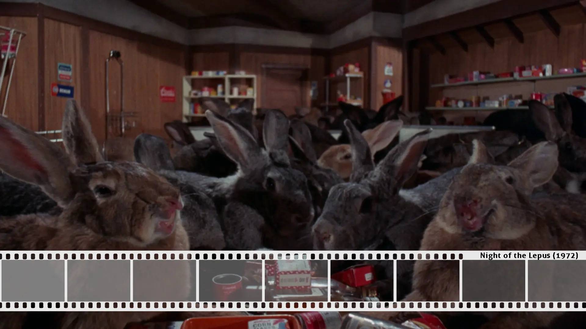 Janet Leigh kontra krwiożercze króliki | „Night of the Lepus” (1972)