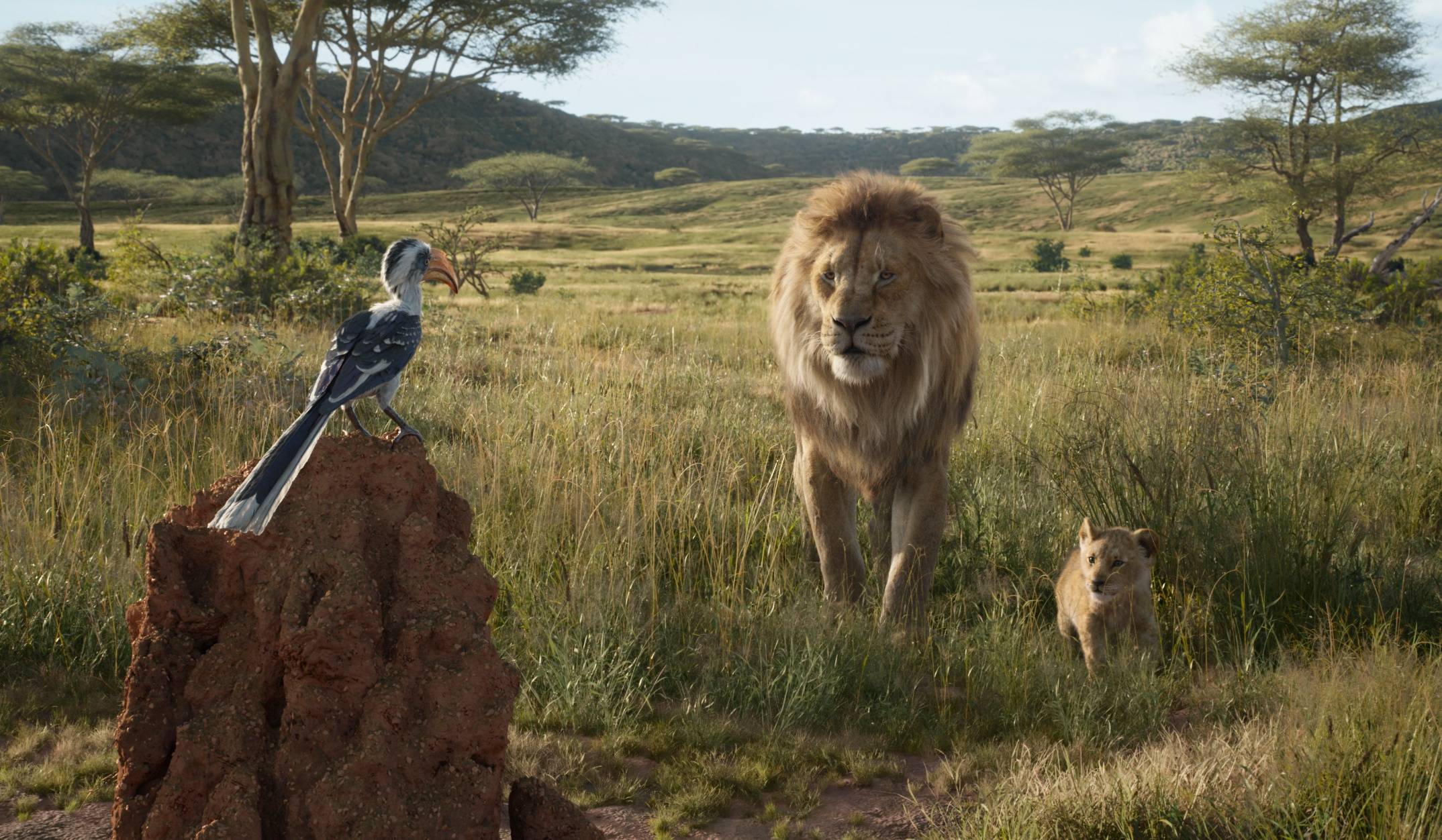 Barry Jenkins ujawnia historię ojca Simby w „Mufasa: Król Lew”