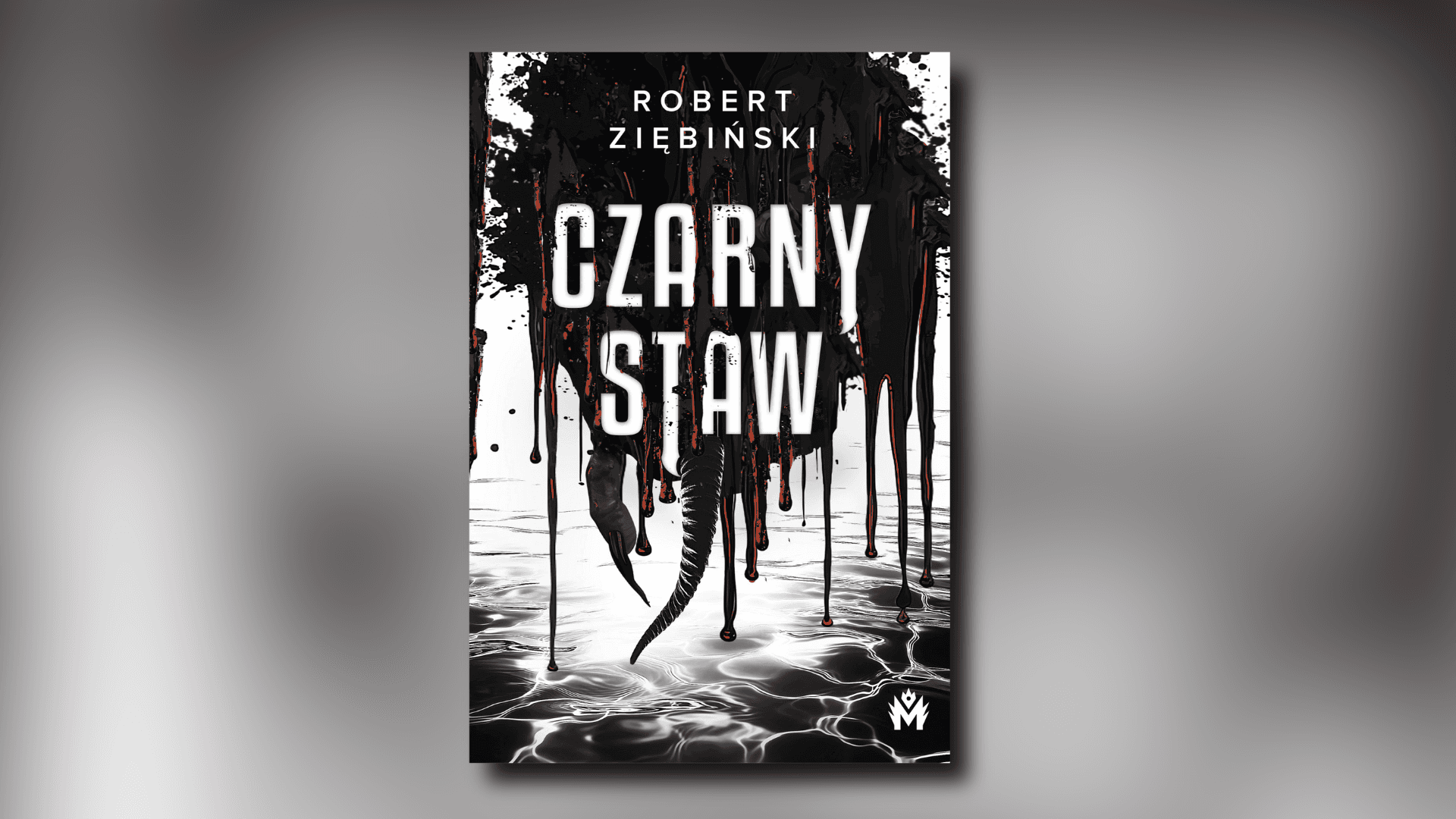 „Czarny Staw” – omówienie książki