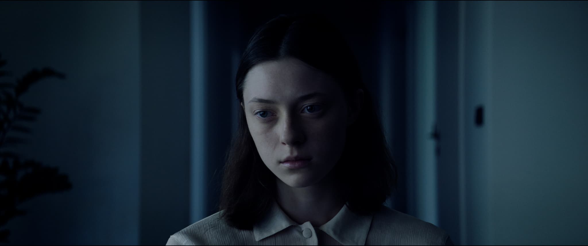 Kanalia – recenzja filmu „Kot”. 47. FPFF Gdynia