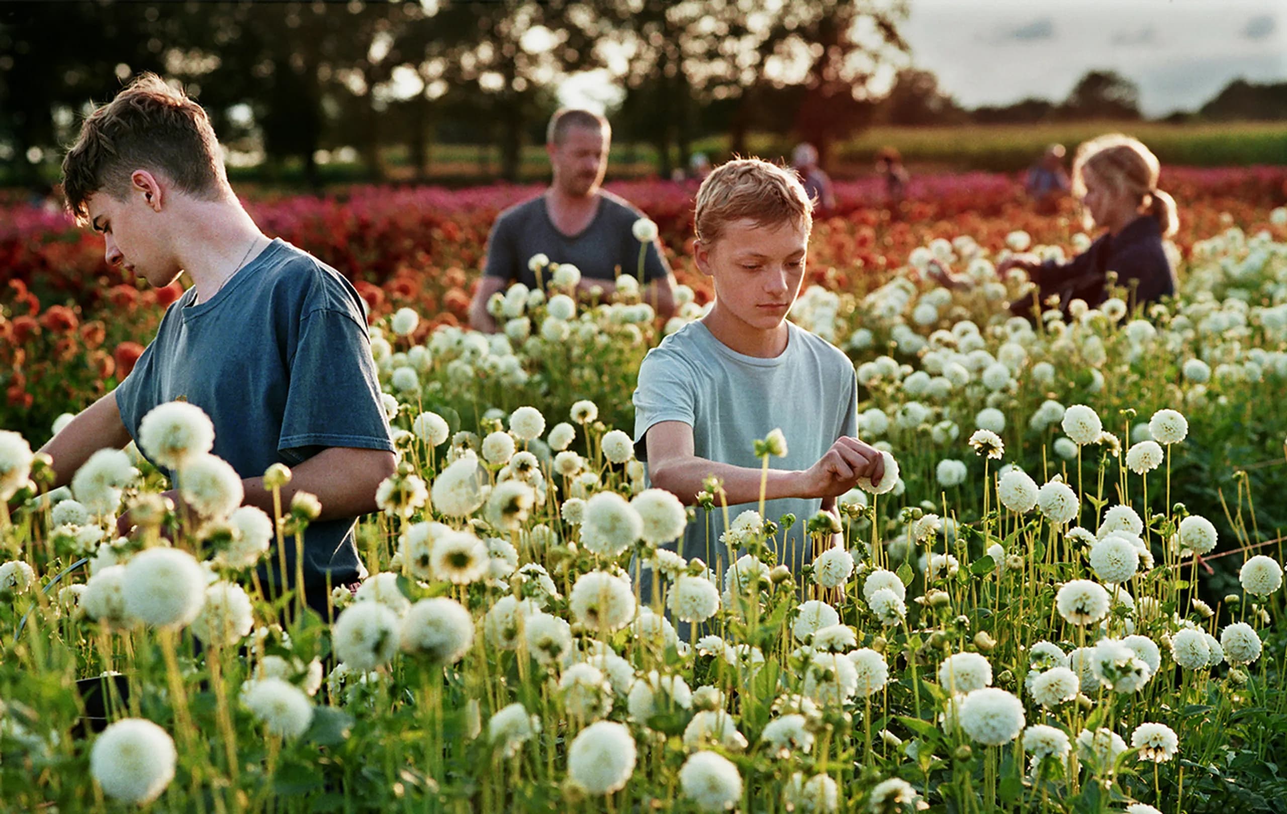 „Blisko” – recenzja