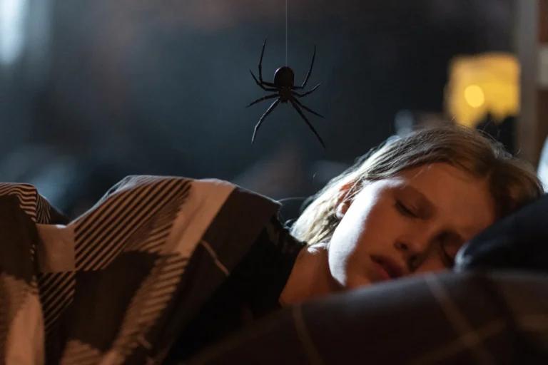 weta-workshop-dostarczy-nam-dawki-arachnofobii