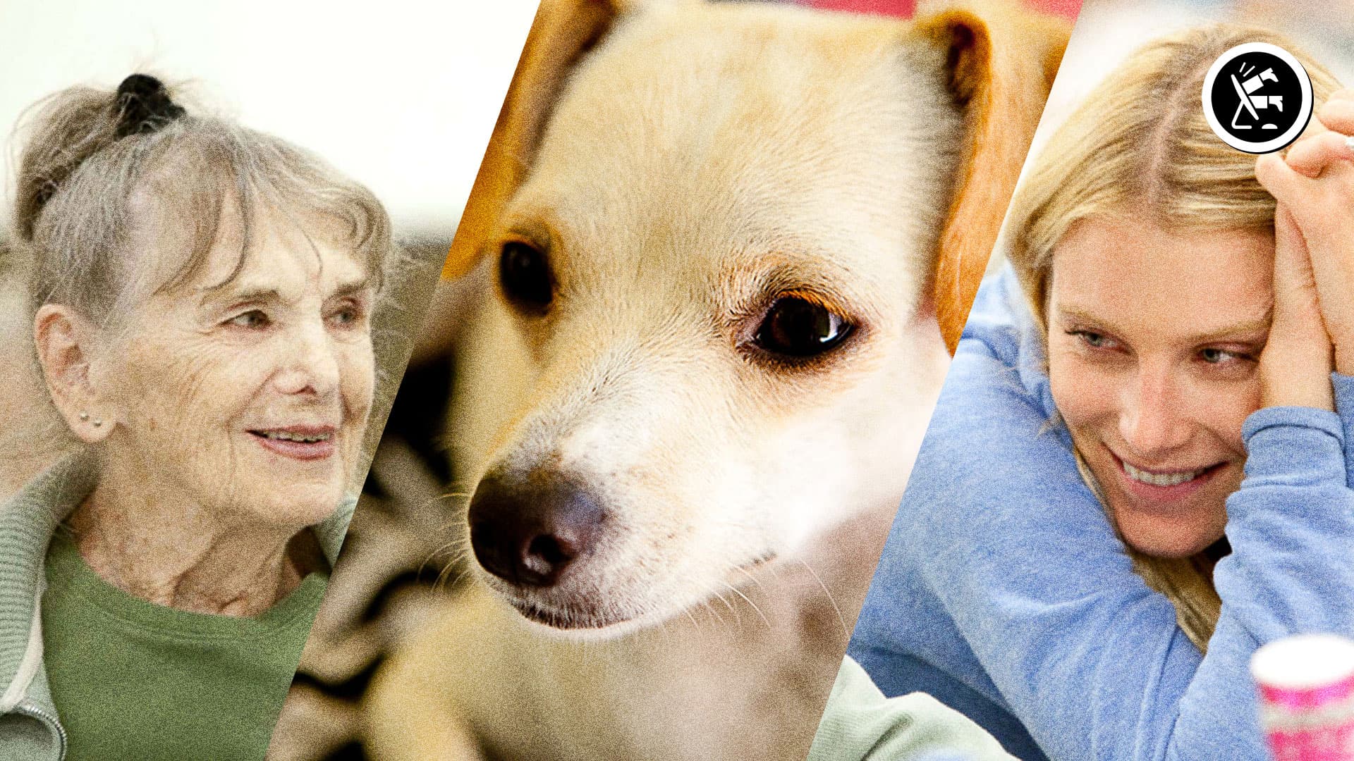 O gustach się dyskutuje #5 | „Gwiazdeczka” (2012)