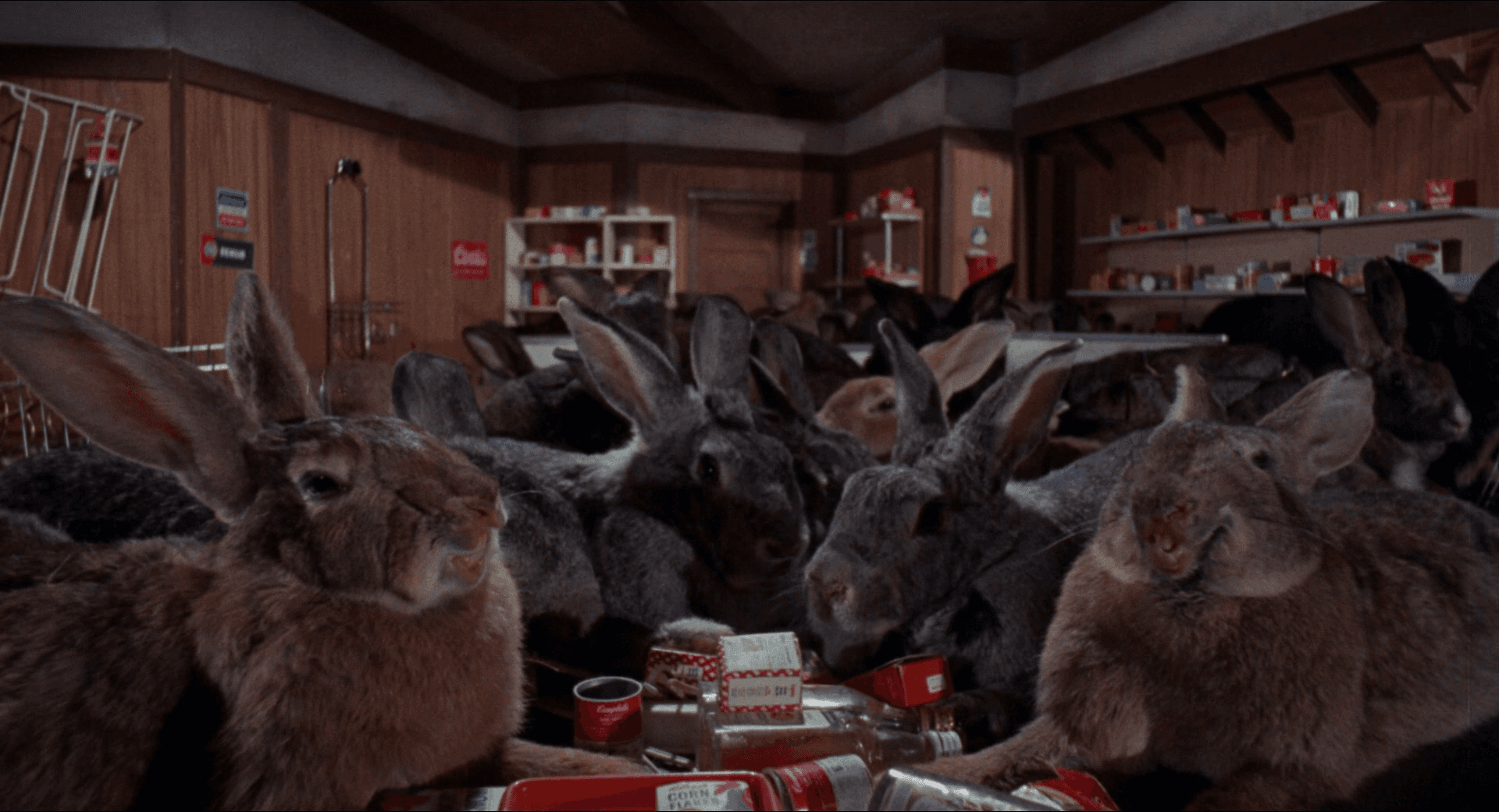 Janet Leigh kontra krwiożercze króliki | „Night of the Lepus” (1972)