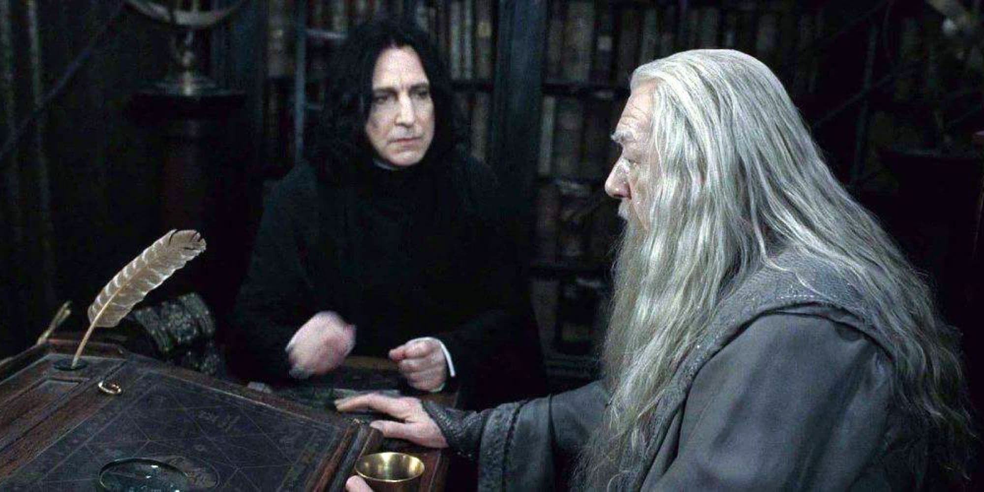 Severus Snape i Albus Dumbledore w serialu „Harry Potter” wybrani?